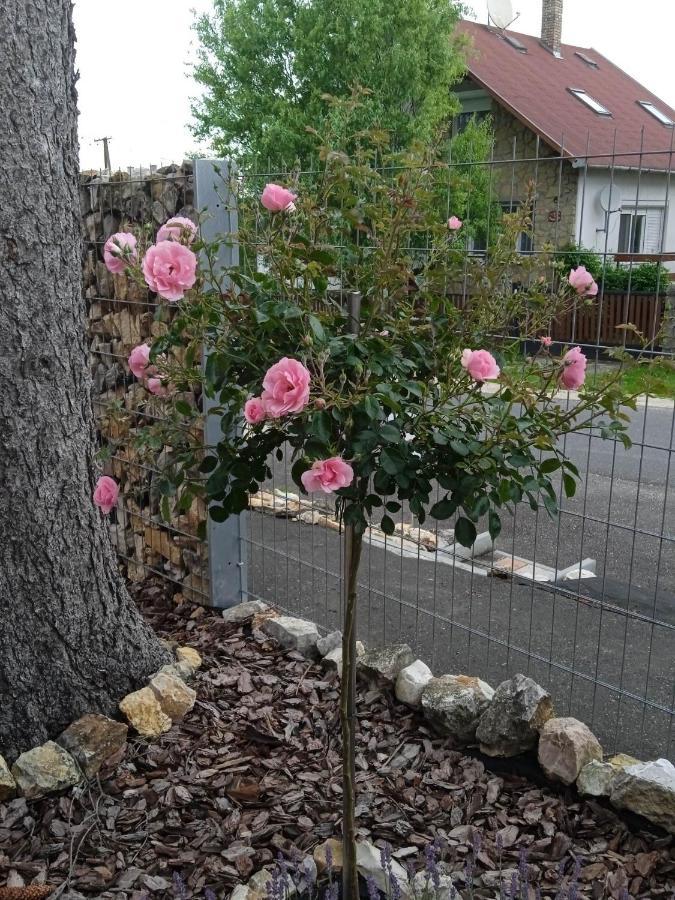 Rozsa Vendeghaz Apartman *